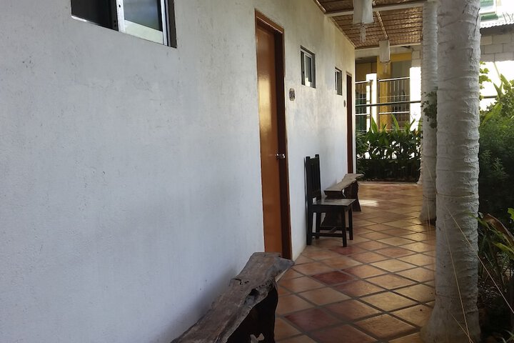 Terrace/Patio 13 of 22