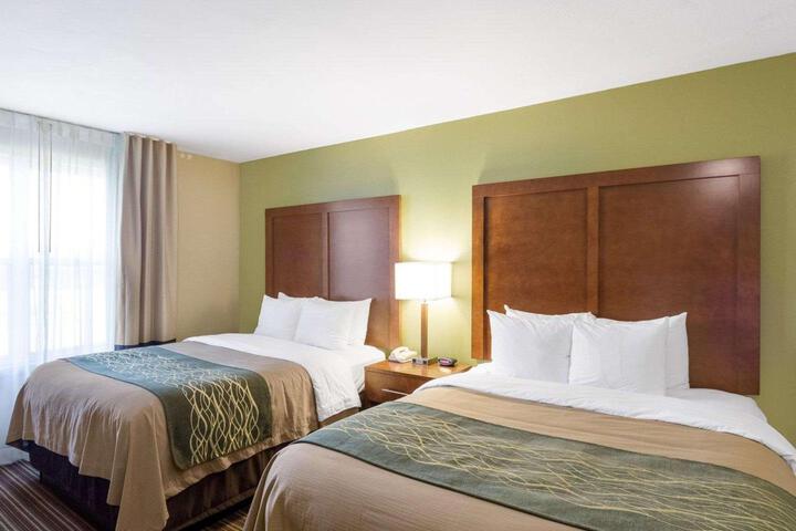 2 Queen Beds (6 of 10)