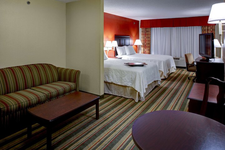 1 King Bed 1 Bedroom Suite (1 of 13)