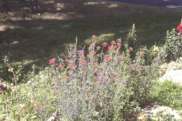 Property Grounds 34 of 46