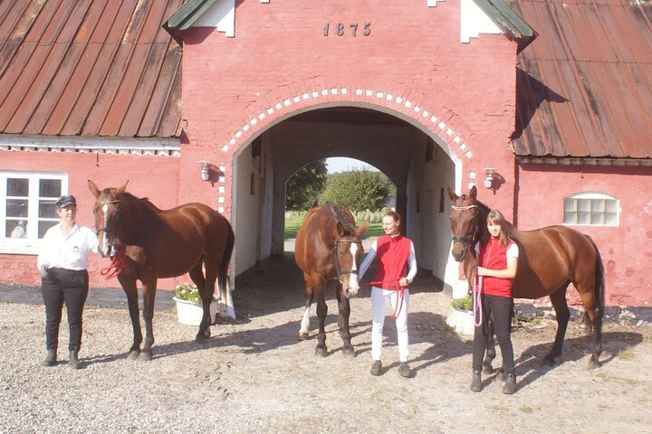 Horseback riding