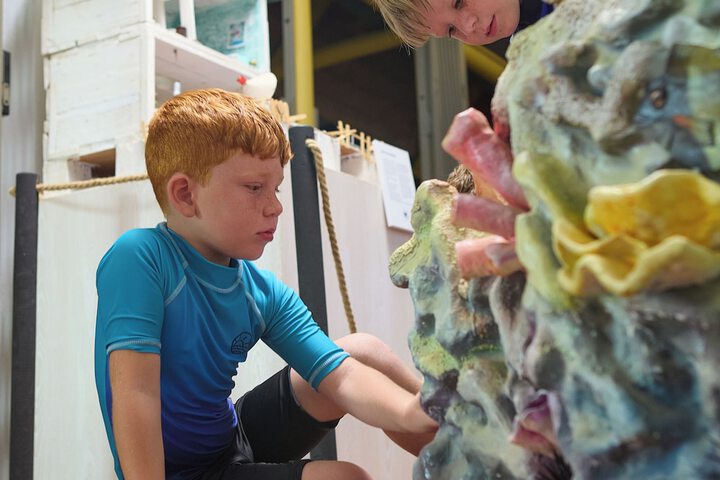 Childrens Activities 84 of 215