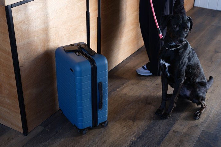 Pet Friendly 25 of 32