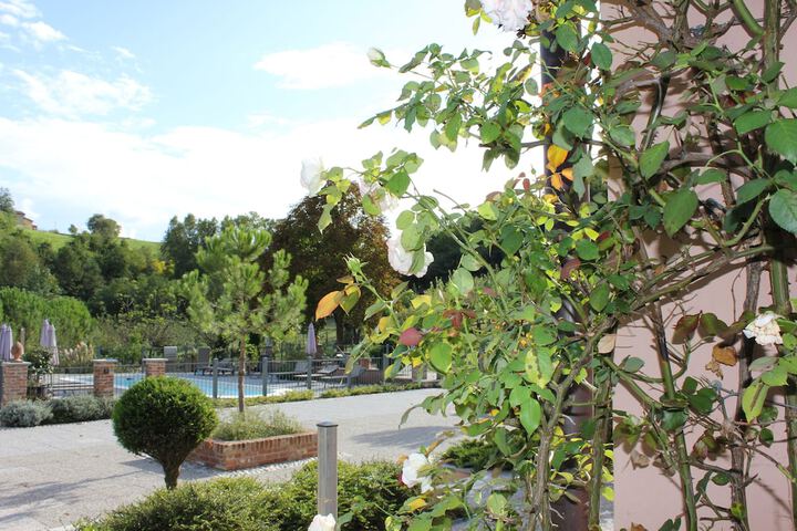 Pools & Facilities