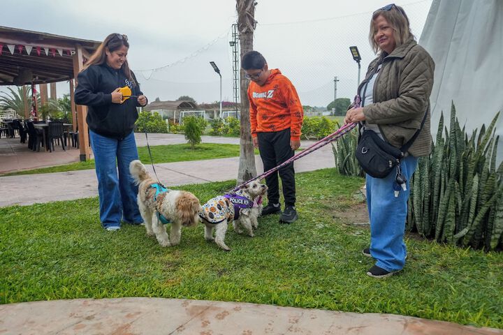 Pet Friendly 164 of 214