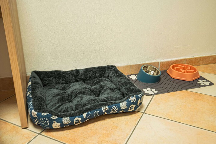 Pet Friendly 17 of 25