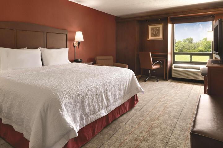 2 Queen Beds (1 of 4)