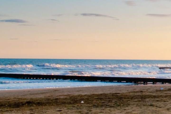 Beach 41 of 51
