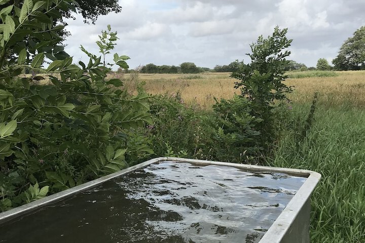 Pools & Facilities