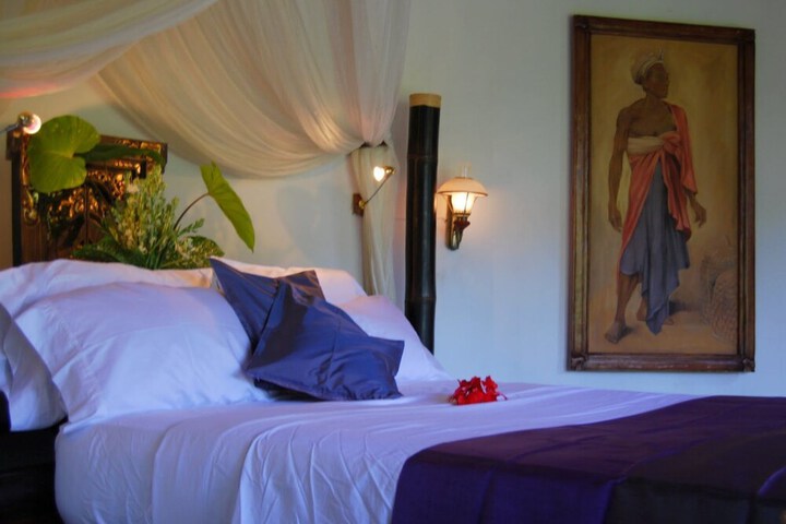 Suite Room