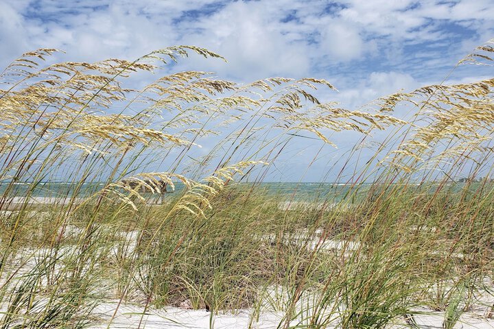 Beach 6 of 16