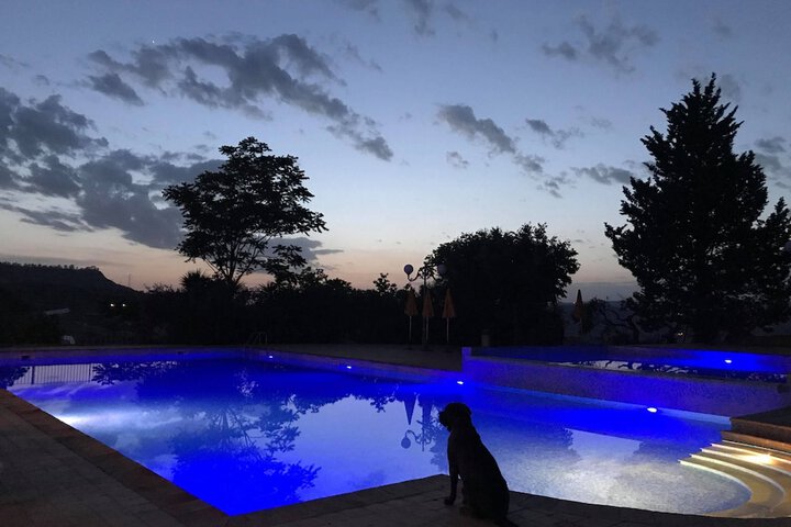 Hotel with Pool