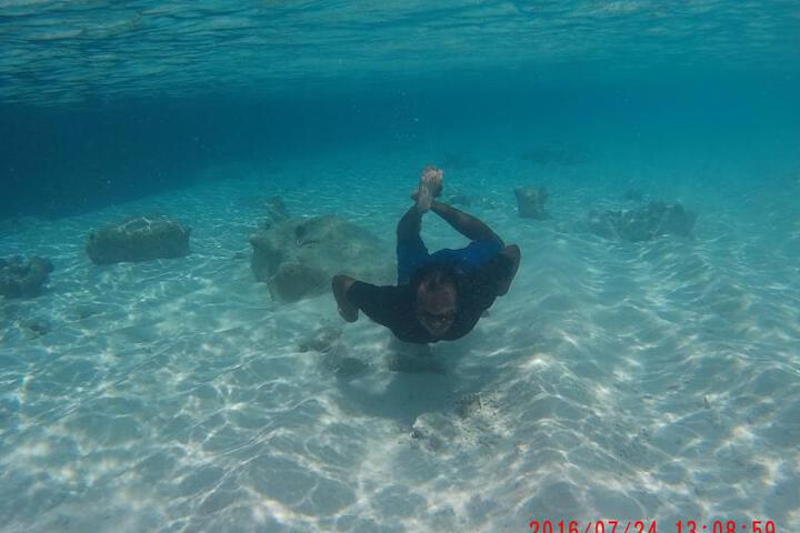 Image of ISLAND GUEST