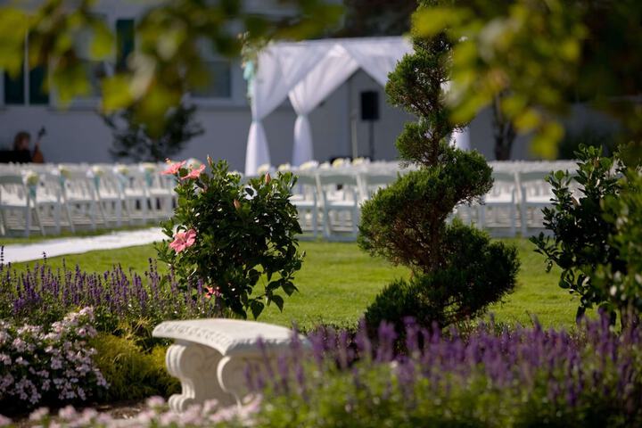 Wedding/Banquet 46 of 71