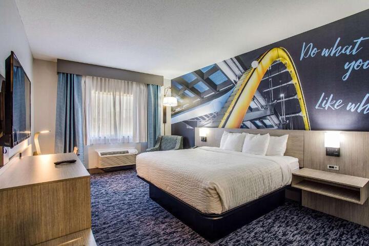 Standard | King Bed (8 of 10)