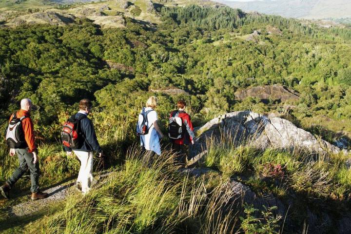 Hiking