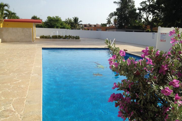 Pool 26 of 40