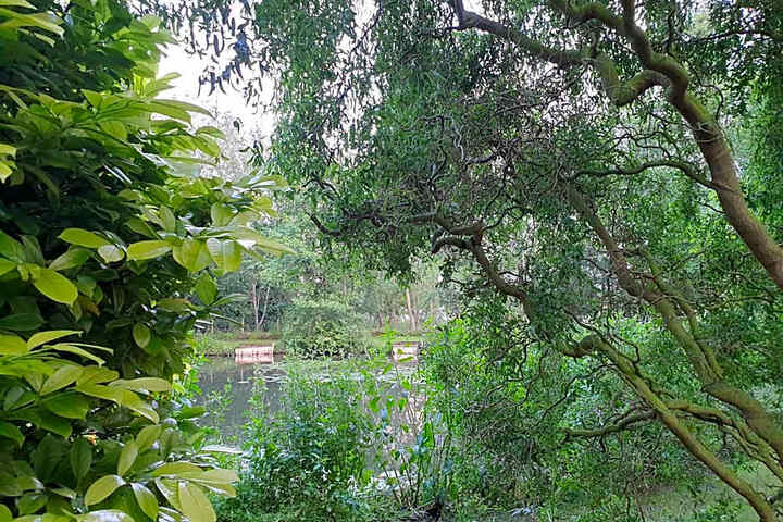 Photo 28