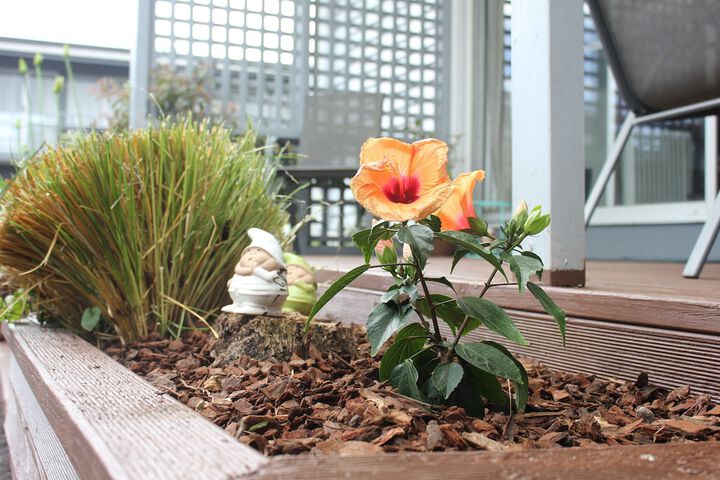 Sundeck 58 of 71