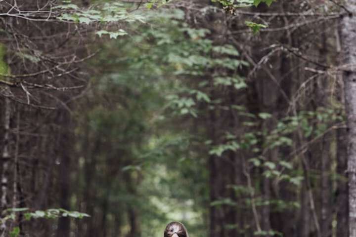 Property Grounds 81 of 104