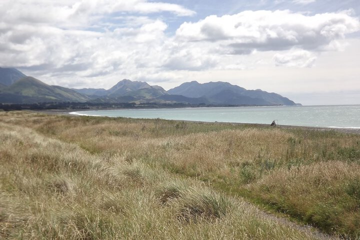 Beach 51 of 62