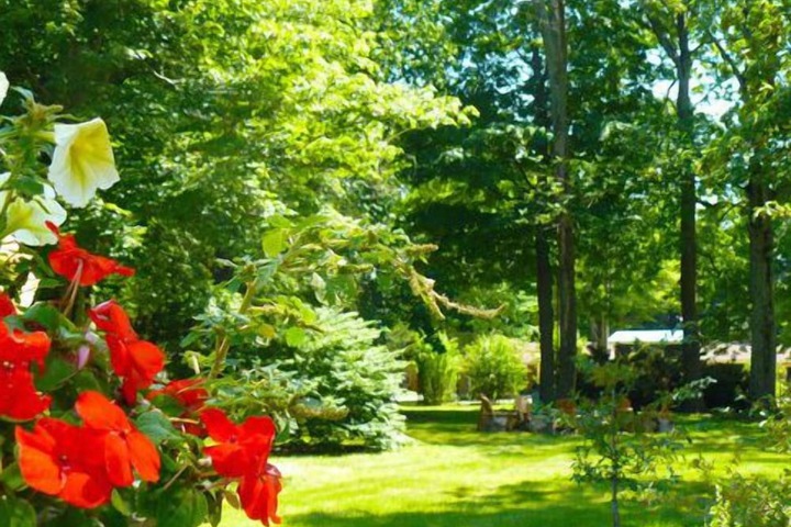 Property Grounds 21 of 25