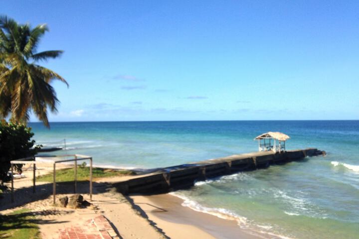 Beach 20 of 24