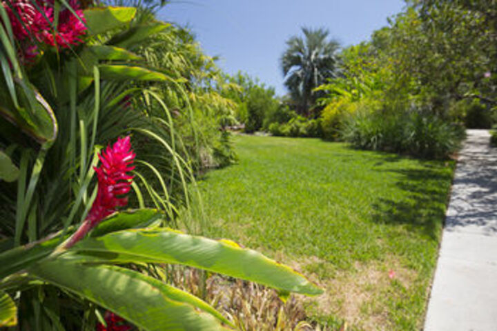 Property Grounds 36 of 40