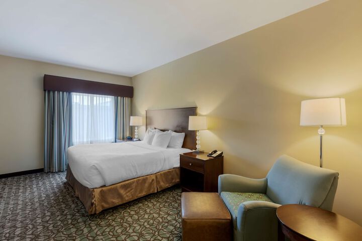 1 King Bed Pet Friendly (12 of 16)