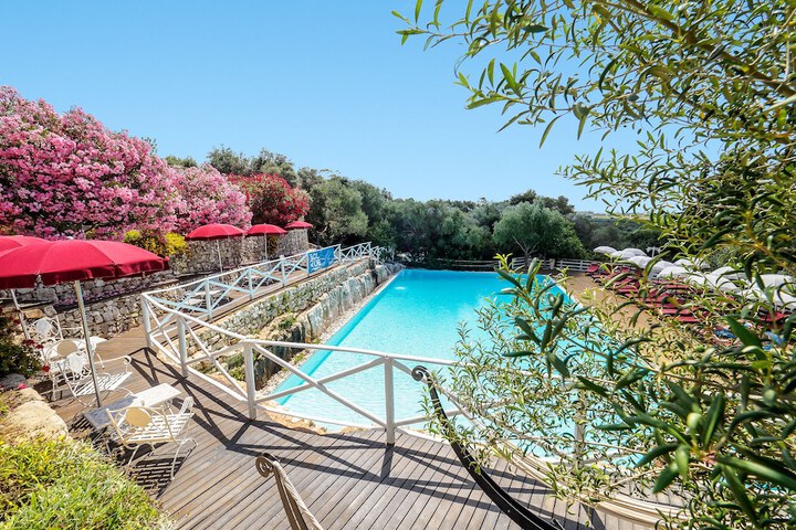 Hotel Pool