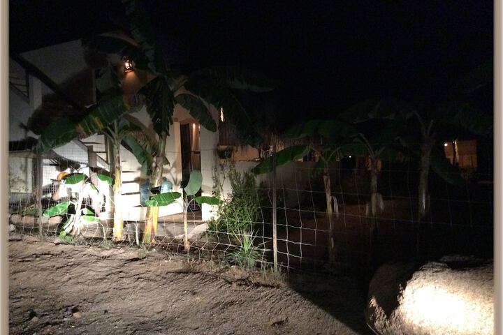 Property Grounds 8 of 15