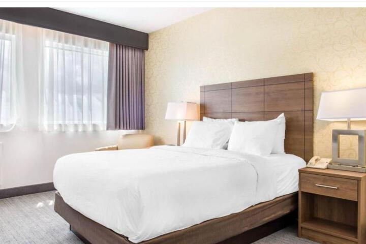 1 Queen Bed (5 of 15)