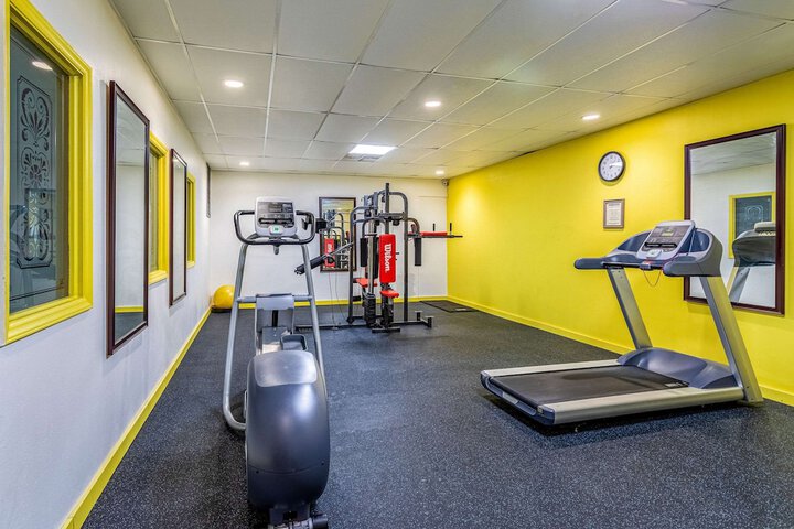 Gym & Fitness