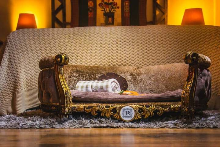 Pet-friendly amenities