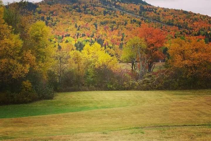 Property Grounds 36 of 44