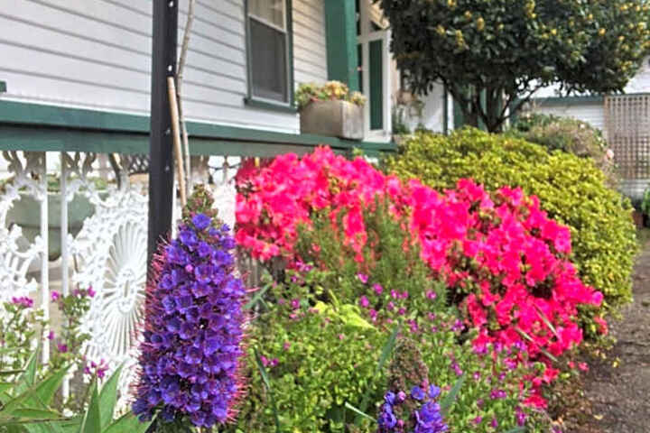 Photo 21