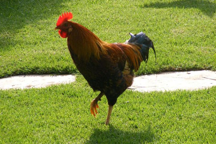 Fitness Center Photo