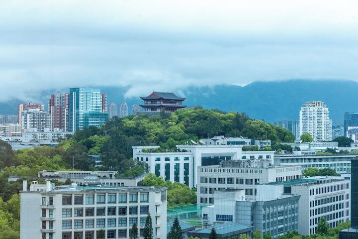 View from room