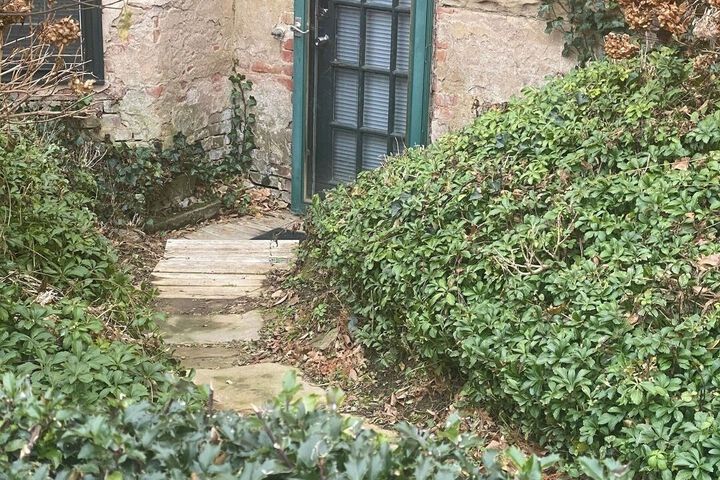 Photo of Garden-level 2BR Pet-friendly Near Downtown