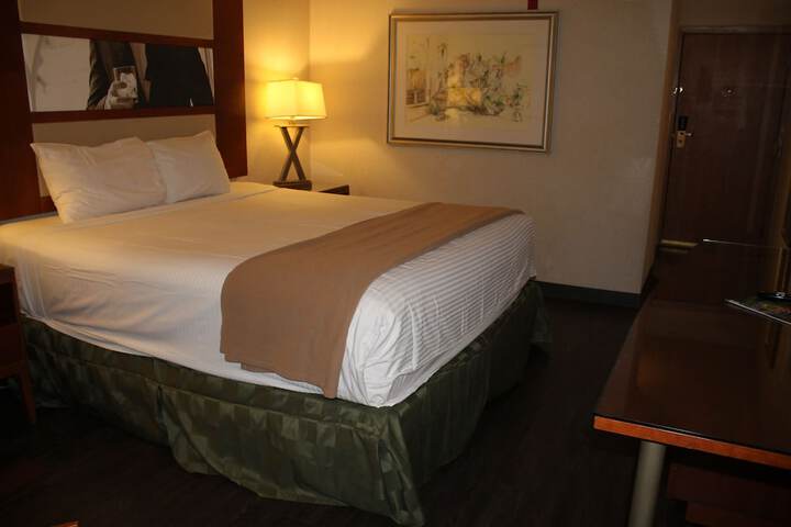 Deluxe King Bed (12 of 26)