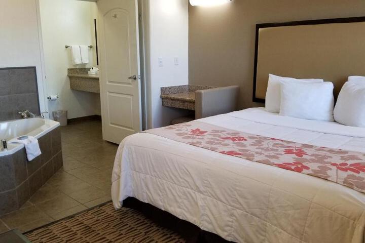 1 King Bed Mobility Hearing Impaired Accesible Studio Suite (7 of 17)