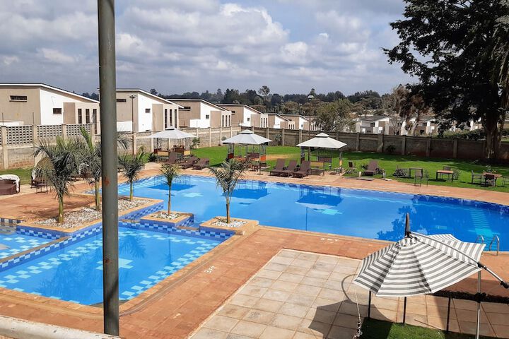 Pool 14 of 49
