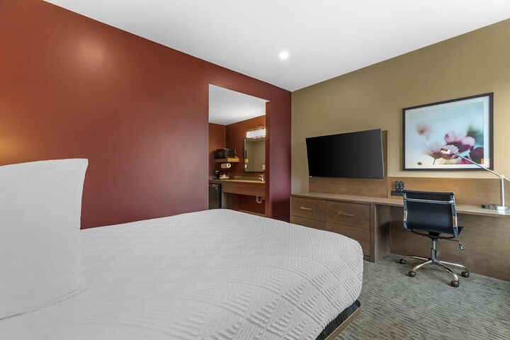 Room 19 of 54