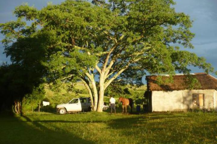 Image of Canada Del Brujo