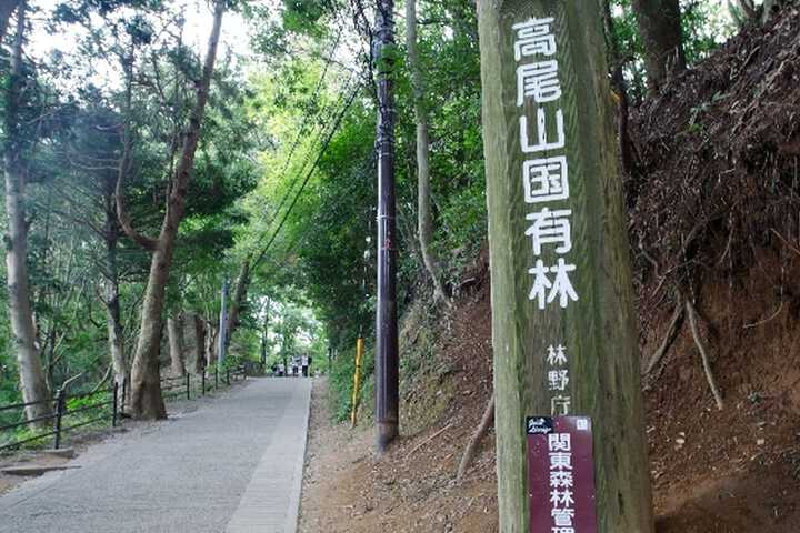 Hiking