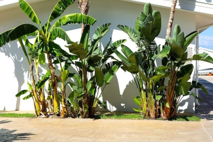 Property Grounds 26 of 60
