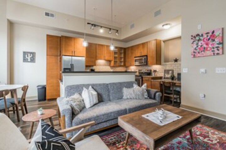 The Luxury Suites of Houston in Houston, TX