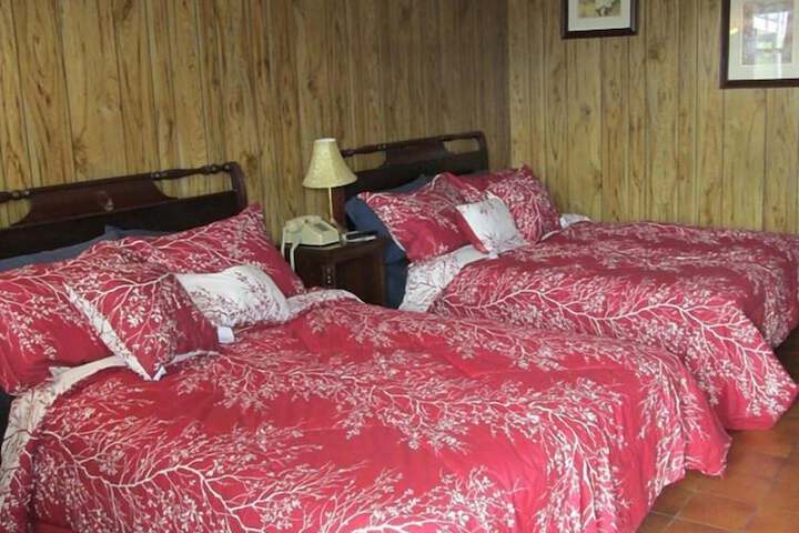 Standard Room, King or Two Doubles (2 of 14)