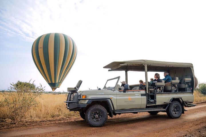 Safari