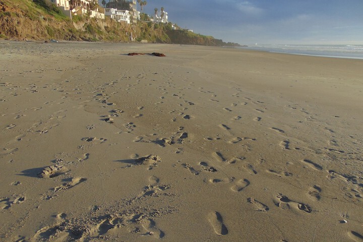 Beach 359 of 413